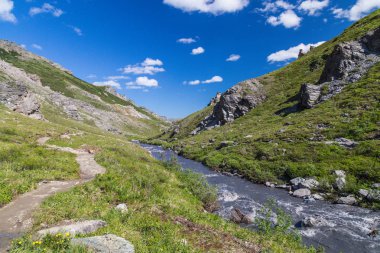 Alaska, Amerika Birleşik Devletleri Denali Milli Parkı Savage River Trail