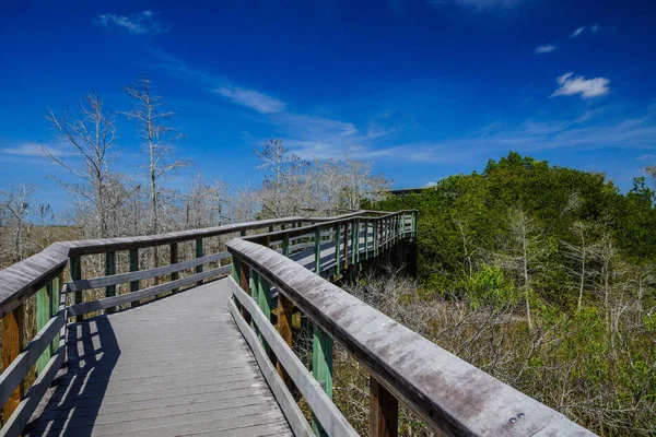 PA-Hay-Okee i Everglades National Park i Florida, Förenta staterna — Stockfoto