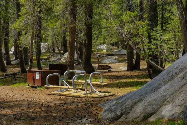 Stachelschwein-Zeltplatz im Yosemite-Nationalpark in Kalifornien, Vereinigte Staaten — Stockfoto