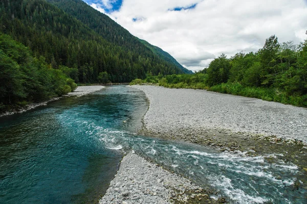 Quinault folyó az olimpiai nemzeti parkban, Washington, Egyesült Államok — Stock Fotó