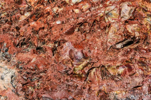 Arizona 'da Petrified Forest National Park 'ta Rainbow Forest, Amerika Birleşik Devletleri — Stok fotoğraf