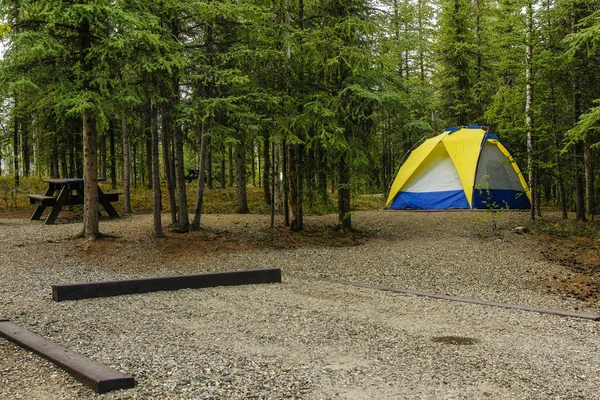 Riley Creek Campground v národním parku Denali na Aljašce, Spojené státy — Stock fotografie