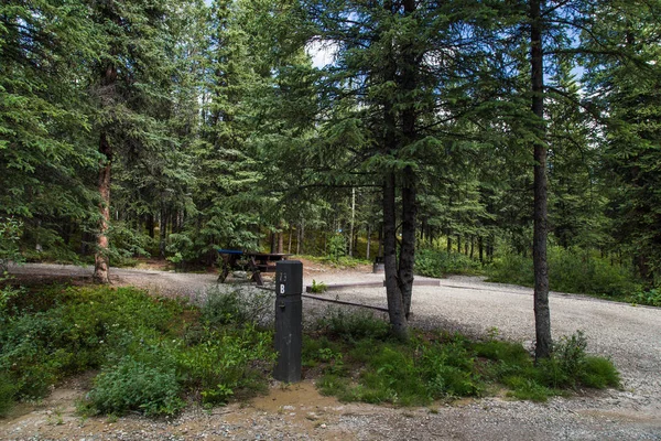 Riley creek campingplatz im denali nationalpark in alaska, vereinigte staaten — Stockfoto