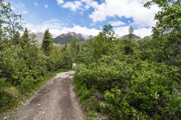 Gyökérgleccser Trail in Wrangell-St. Elias Nemzeti Park Alaszkában, Egyesült Államok — Stock Fotó