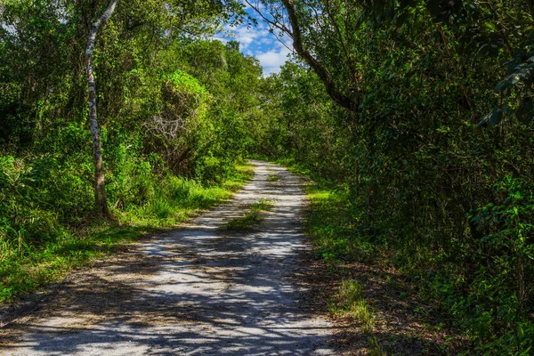 Gewelddadige Bend Trail in Everglades National Park in Florida, Verenigde Staten — Stockfoto