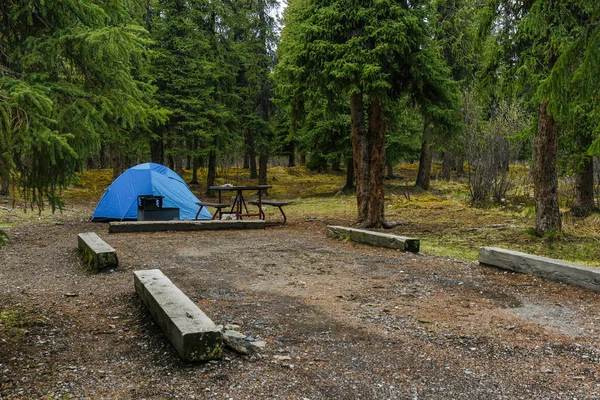 Savage River Campground a Denali Nemzeti Park Alaszkában, Egyesült Államok — Stock Fotó
