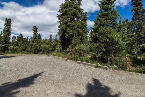 Wilder Fluss-Zeltplatz im denali-Nationalpark in alaska, vereinigte Staaten — Stockfoto