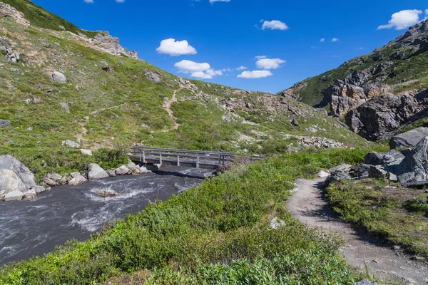 Alaska, Amerika Birleşik Devletleri Denali Milli Parkı Savage River Trail