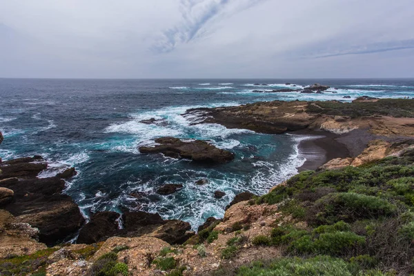 Sea Lion Point Area di Point Lobos State Reserve di California, Amerika Serikat — Stok Foto