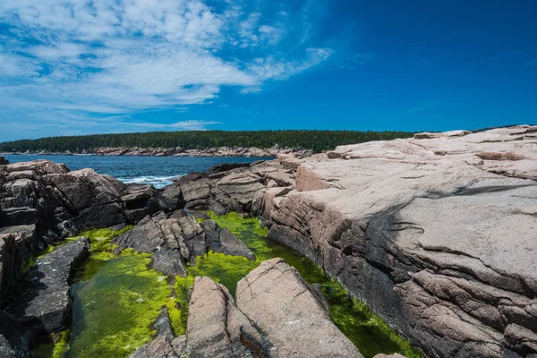 Otter Point in Acadia National Park in Maine, United States Stock Image