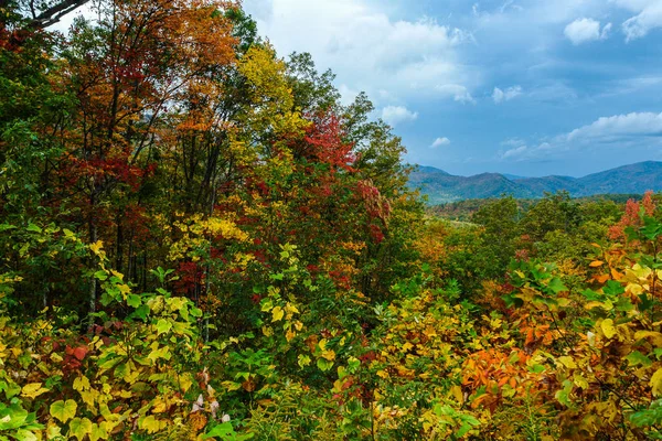 Roaring Fork Motor Nature Trail Views in Great Smoky Mountains National Park in Tennessee, United States Stock Picture