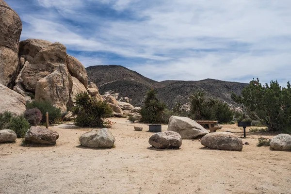 Ryan Campground in Joshua Tree National Park in California, United States Stock Image
