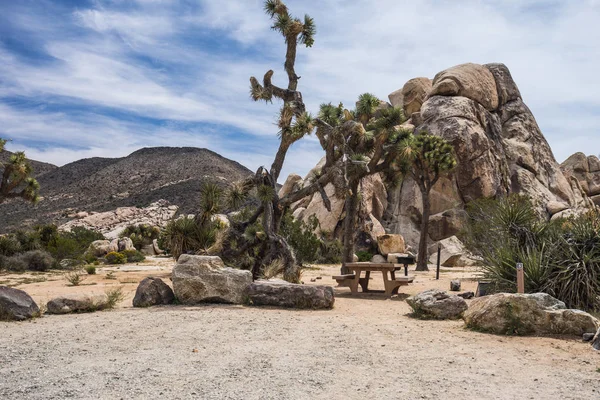 Ryan Campground in Joshua Tree National Park in California, United States Royalty Free Stock Photos