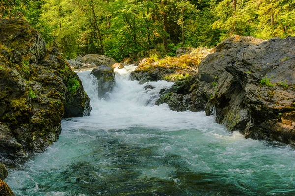 Salmon Cascades in Olympic National Park in Washington, United States Stock Photo
