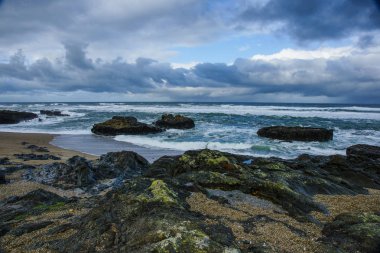 Oregon, Amerika Birleşik Devletleri 'nde Smelt Sands State Park