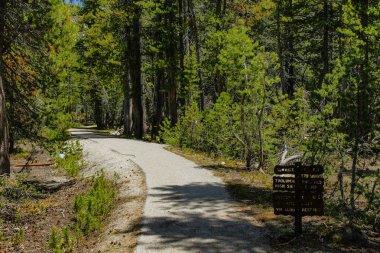 California, Amerika Birleşik Devletleri Yosemite Ulusal Parkı 'nda gündoğumu trailhead