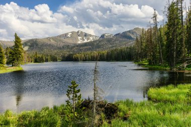 Sylvan Gölü, Wyoming, Amerika Birleşik Devletleri 'ndeki Yellowstone Milli Parkı 'nda