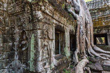 Amerika Birleşik Devletleri, Kamboçya 'da Angkor Archaeological Park 'ta tah Prohm