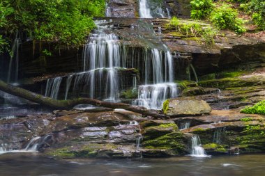 Tom Branch, Kuzey Carolina, Amerika Birleşik Devletleri 'nde büyük Smoky Mountains National Park Falls