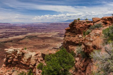Beyaz jant Utah, Amerika Birleşik Devletleri 'nde Canyonlands Milli Parkı 'nda Trail Overlook