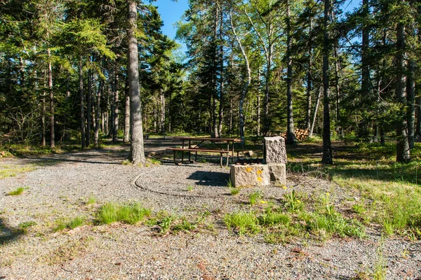 Zeedijk camping in Acadia National Park in Maine, Verenigde Staten — Stockfoto