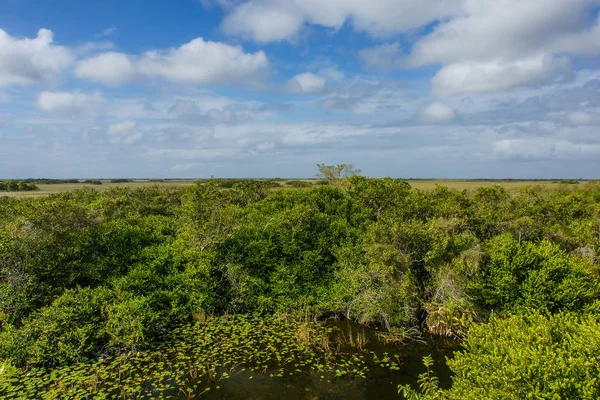 Shark Valley in Everglades National Park in Florida, United States