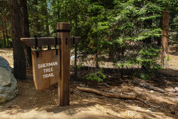 Sherman Tree Trail im Mammutbaum-Nationalpark in Kalifornien, Vereinigte Staaten — Stockfoto