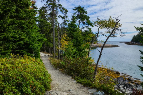 Ship Harbor Trail en el Parque Nacional Acadia en Maine, Estados Unidos — Foto de Stock