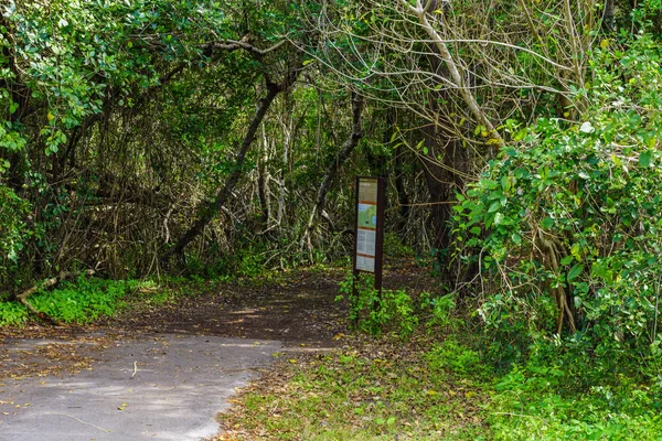 Snake Bight Trail nel Parco Nazionale delle Everglades in Florida, Stati Uniti — Foto Stock