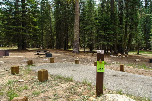 Stony creek campground im Mammutbaum-Nationalwald in Kalifornien, Vereinigte Staaten — Stockfoto