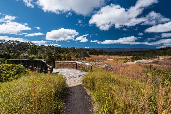 Sulphur Banks Trail in Hawaii Vulcanoes National Park in Hawaii, Stati Uniti — Foto Stock