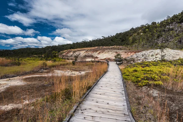 Sulphur Banks Trail in Hawaii Vulcanoes National Park in Hawaii, Stati Uniti — Foto Stock