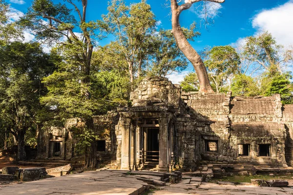 Tah Prohm in Angkor Archaeological Park in Cambodia, Estados Unidos da América — Fotografia de Stock