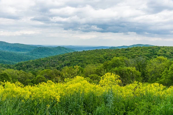 Thornton Hollow Overlook en el Parque Nacional Shenandoah en Virginia, Estados Unidos —  Fotos de Stock