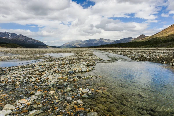 Toklat River en el Parque Nacional Denali en Alaska, Estados Unidos — Foto de Stock