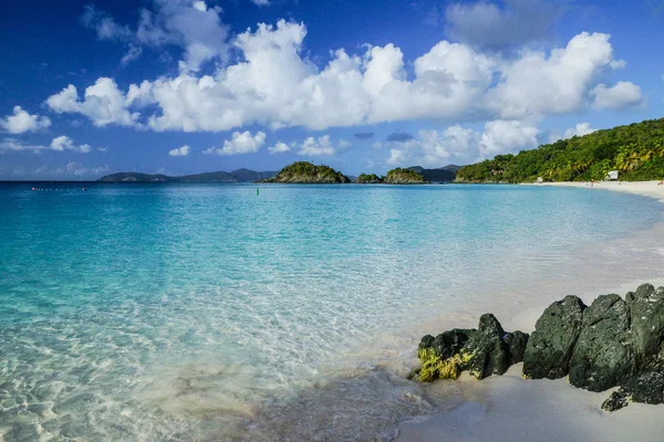 Trunk Bay Virgin Adaları Milli Parkı St John, Amerika Birleşik Devletleri adasında