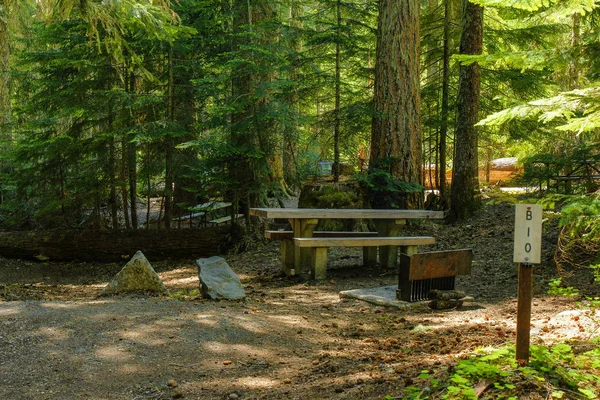 ワシントン州マウントレーニア国立公園のホワイトリバーキャンプ場、アメリカ — ストック写真