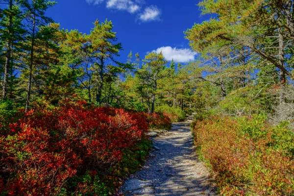 Μονοπάτι των θαυμάτων στο εθνικό πάρκο Acadia στο Μέιν, Ηνωμένες Πολιτείες της Αμερικής — Φωτογραφία Αρχείου