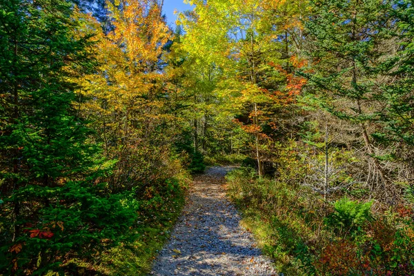 Μονοπάτι των θαυμάτων στο εθνικό πάρκο Acadia στο Μέιν, Ηνωμένες Πολιτείες της Αμερικής — Φωτογραφία Αρχείου