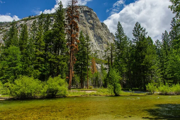 Zumwalt Meadow in Kings Canyon National Park in California, Stany Zjednoczone Ameryki — Zdjęcie stockowe