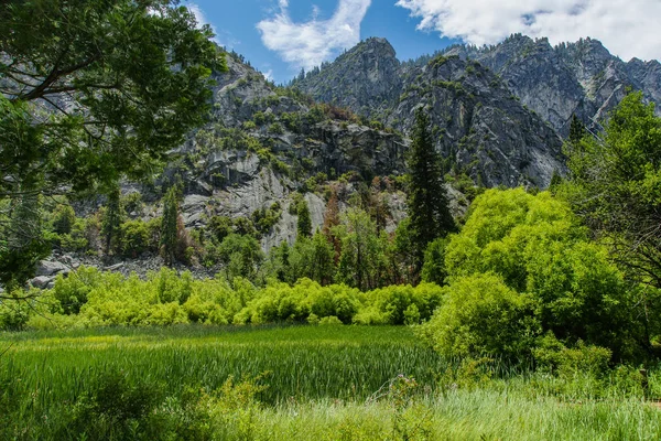 Zumwalt Meadow nel Kings Canyon National Park in California, Stati Uniti — Foto Stock