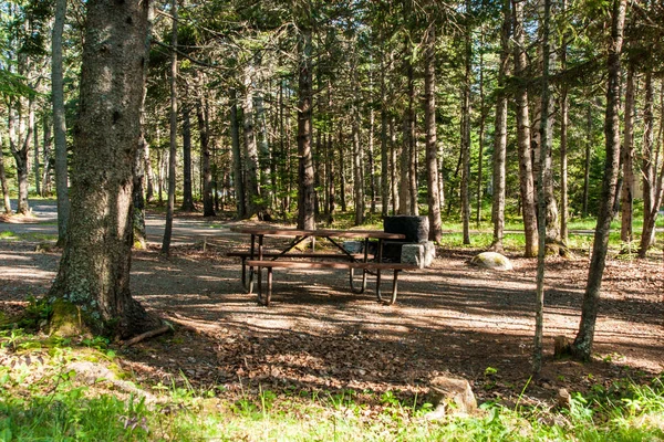 Seawall Campground in Acadia National Park in Maine, United States Royalty Free Stock Photos