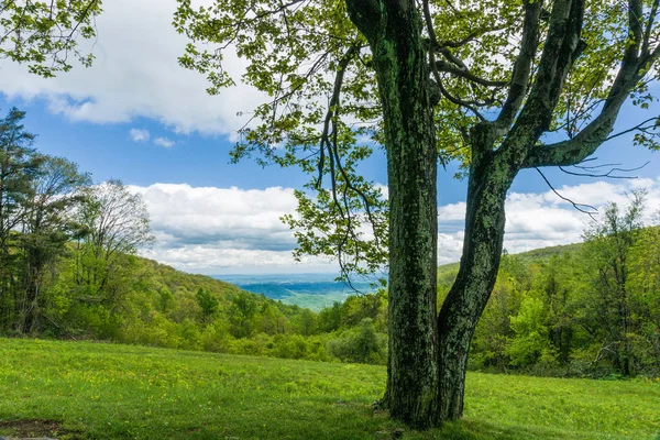 South River Overlook in Shenandoah National Park in Virginia, United States Stock Picture