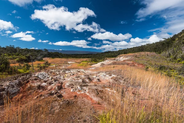 Sulphur Banks Trail in Hawaii Volcanoes National Park in Hawaii, United States Royalty Free Stock Images