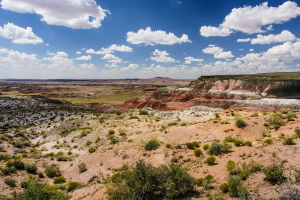 Whipple Point in Petrified Forest National Park in Arizona, United States Stock Image