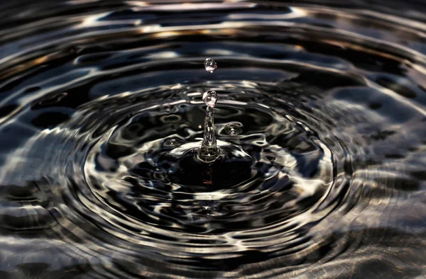 Su damlası koyu tonu üzerinde