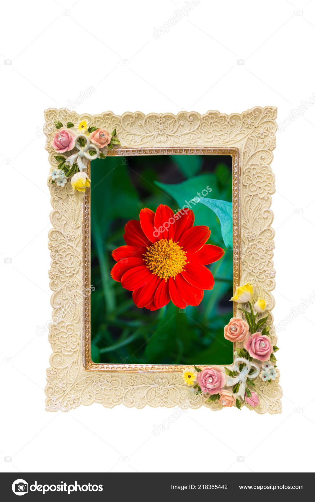 Image Frame Rose Texture Border Isolated White Red Flower Photo Image Of A Frame With Rose Texture Around Border Isolated On White And Inside Red Flower Photo By Wstockphoto