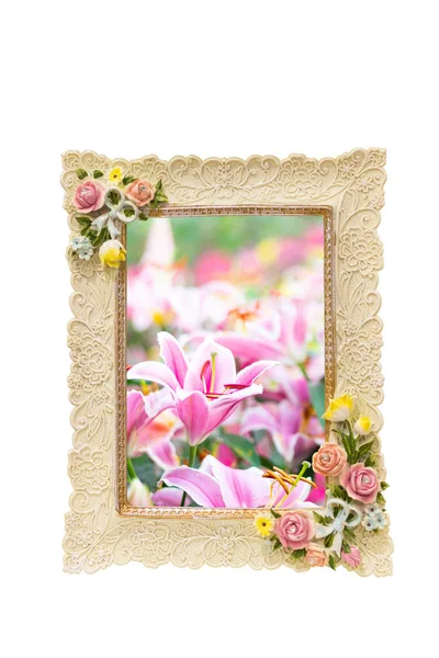 Photo frame with rose texture around border isolated on white an — Stock Photo, Image