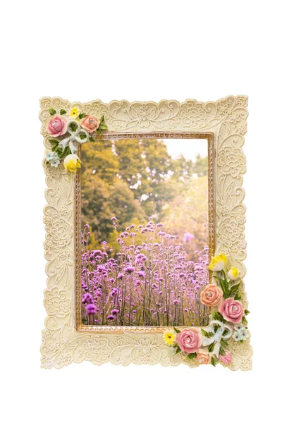 Fotolijst met rozen textuur rond rand geïsoleerd op wit an — Stockfoto