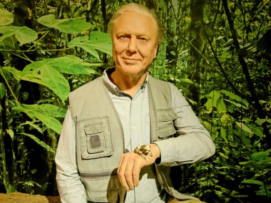 BLACKPOOL, JANUARY 14: Madame Tussauds Blackpool, UK 2018. Wax figure of Sir David Frederick Attenborough is an English broadcaster and naturalist, writing and presenting, clipart